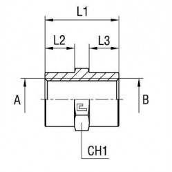 Соединение PS BSP 1" BSP 1"