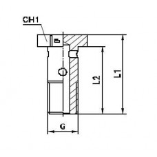 Фитинг BANJO BOLT G3/4